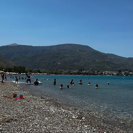 Steven Eleonas Appartement